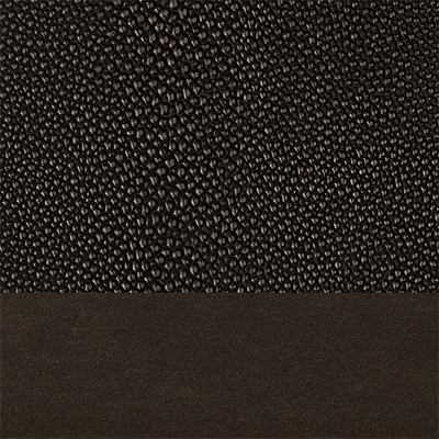 Ebony Shagreen/ Bronze 