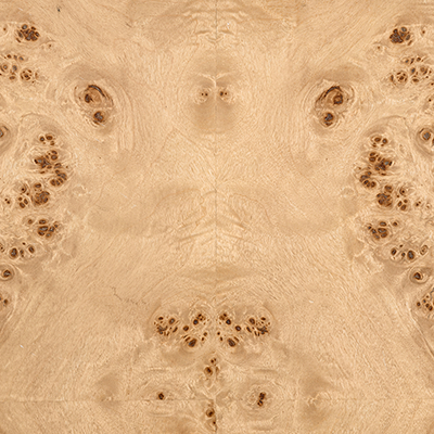Matte Blond Burl 