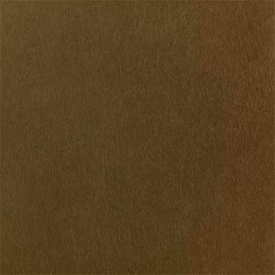 Light Bronze 