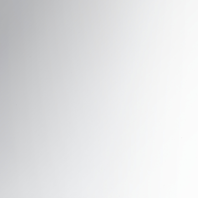 Polished Stainless Steel 