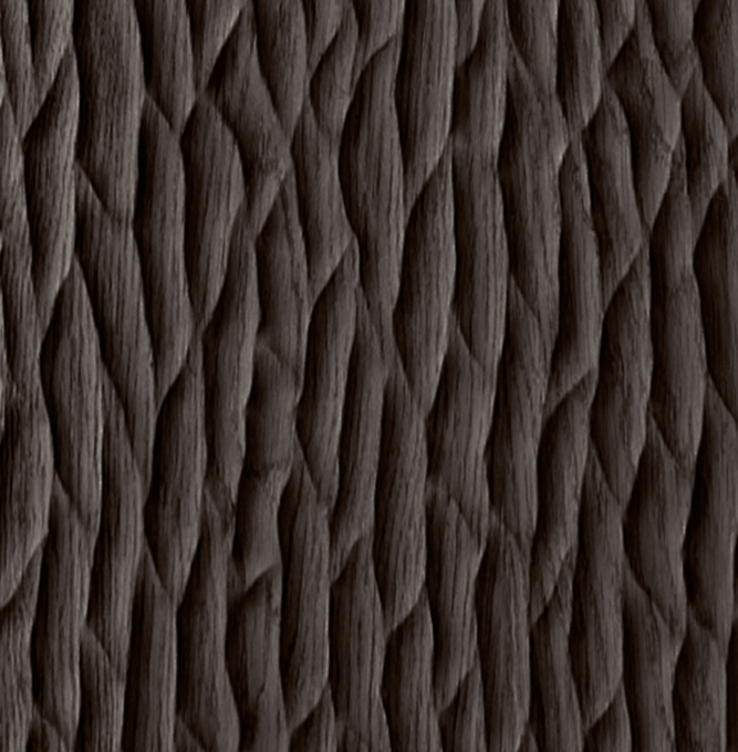 Black Oak 
