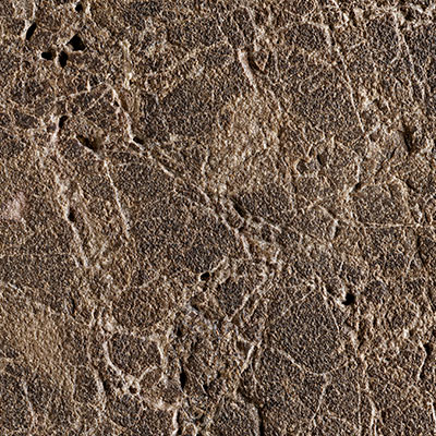 Sandblasted Saturated Brown Emperador Marble
