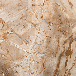 Light Petrified Wood 