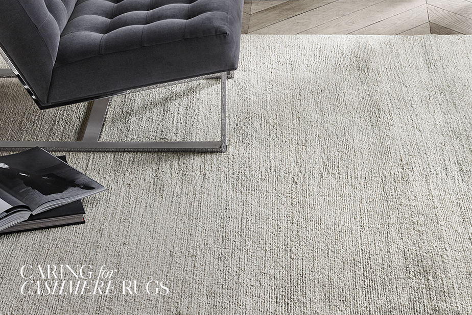 Rug Care RH