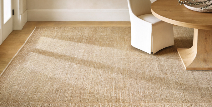 Amita Wool Rug