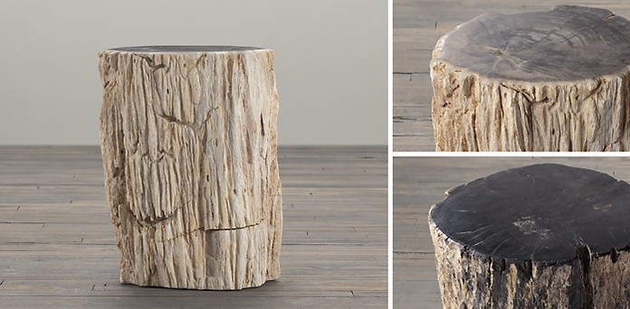Petrified Wood Stump Collection Rh