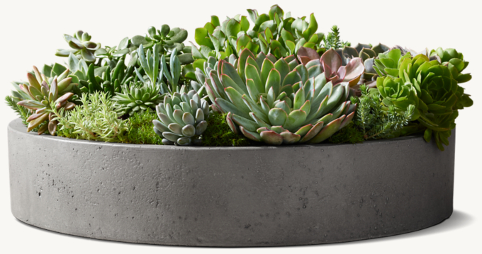 Andora Low Round Bowl