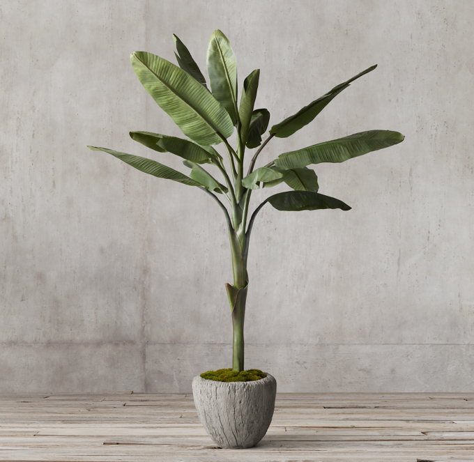 Grand Faux Musa Basjoo Banana Tree | RH