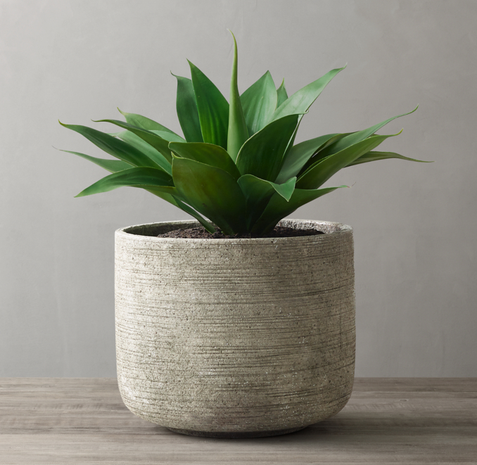 Faux Agave Plant & Etched Concrete Vessel Large