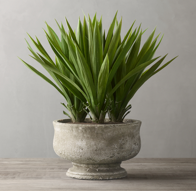 Faux Agave Plant For Weathered Stone Tulip Pedestal Bowl Large