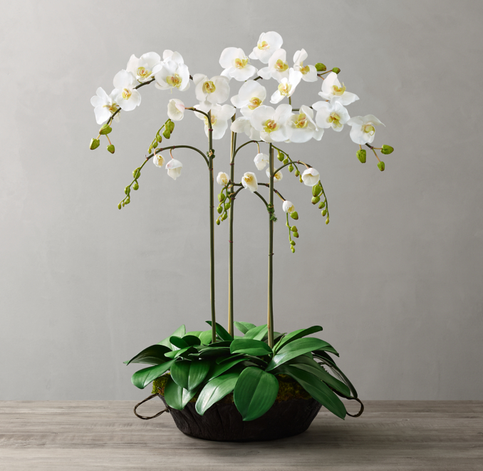 Faux Orchid Plant For Weathered Stone Flared Pedestal Bowl Large