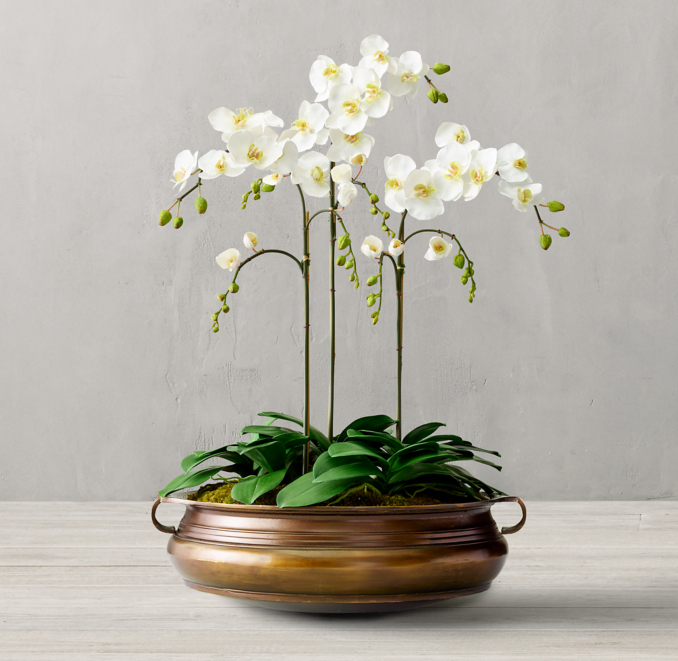 Faux Orchid Plant & 18th C. Brass Indian Urli Bowl Medium