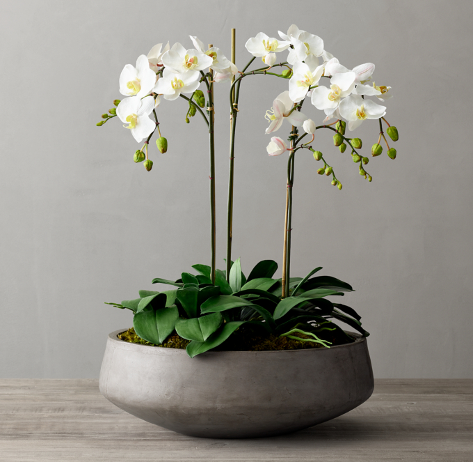 Faux Orchid Plant & Cast Concrete Bowl Large