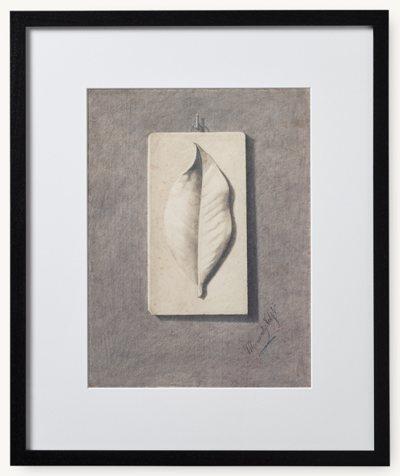 Front view of Morandi Charcoal Leaf 