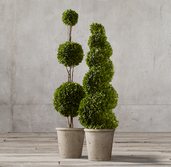 Preserved Boxwood Topiary