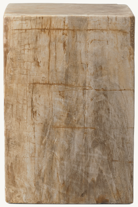 Petrified Wood Cube Side Table