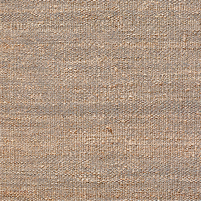 Kai Handwoven Jute Rug Swatch