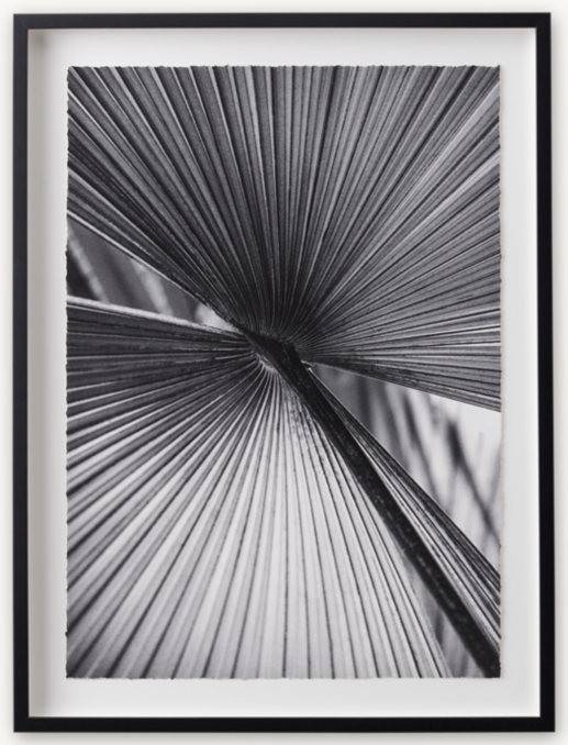 Shown in Black frame.