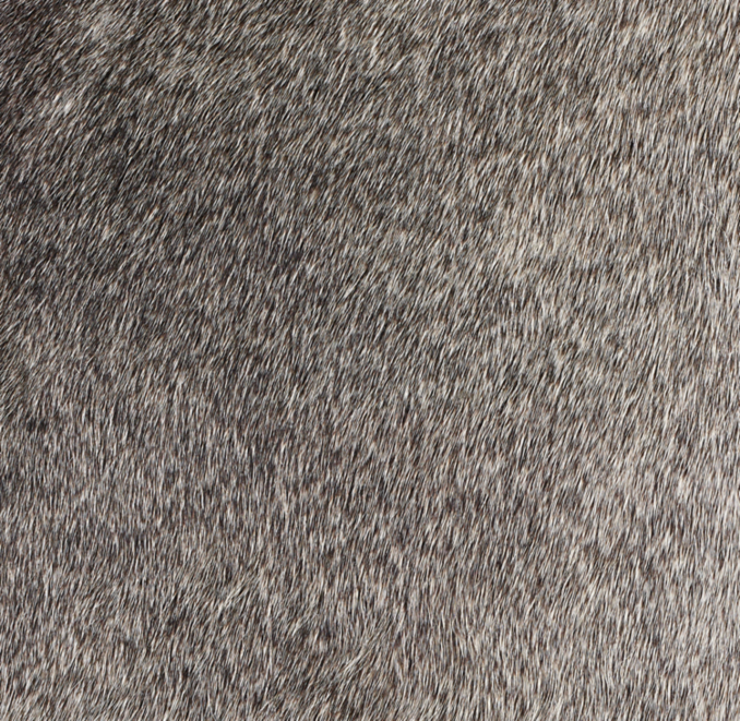 Velá Luxe Cowhide Rug Swatch