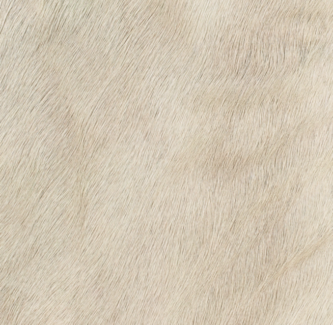 Velá Luxe Cowhide Rug Swatch