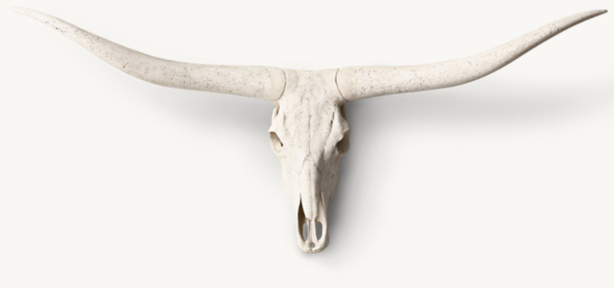 【超希少】テキサス　ロングホーンスカル　頭蓋骨 超希少】テキサス ロングホーンスカル 頭蓋骨 il_fullxfull