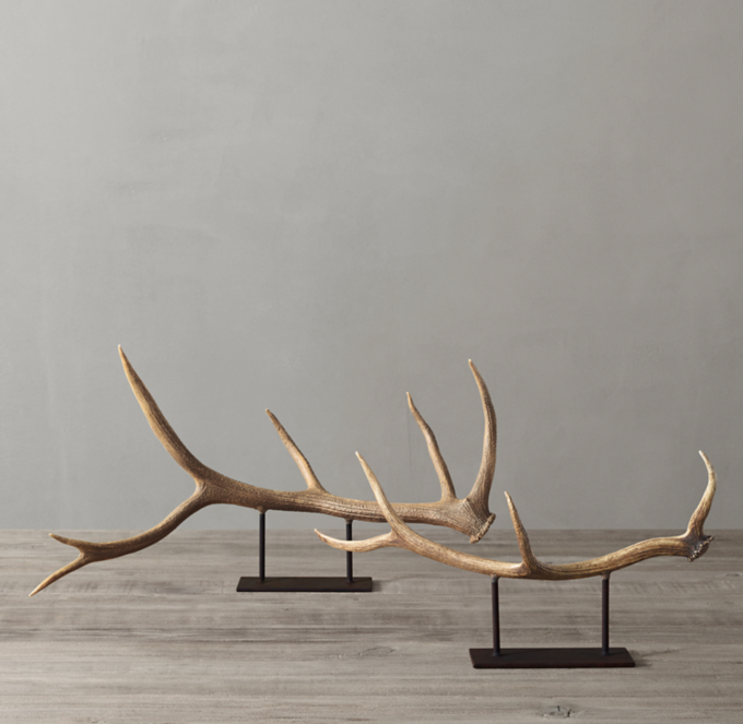 Natural Elk Antler On Stand