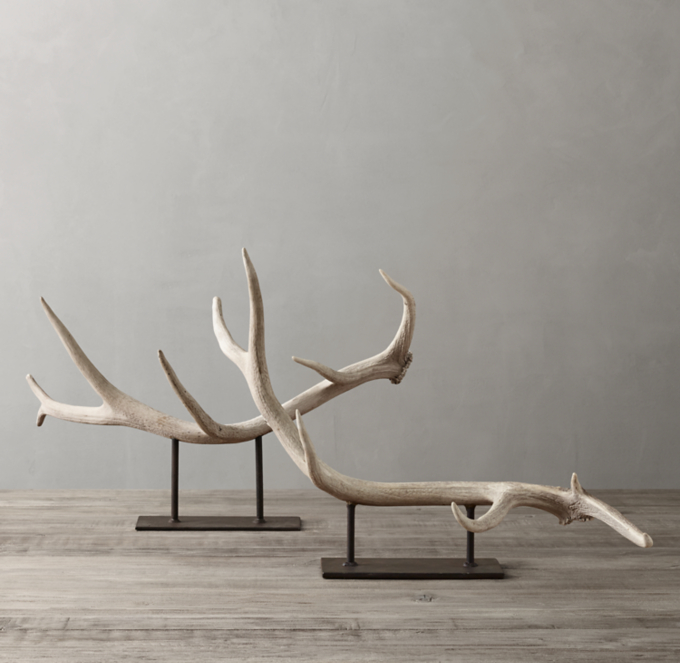 Natural Elk Antler On Stand