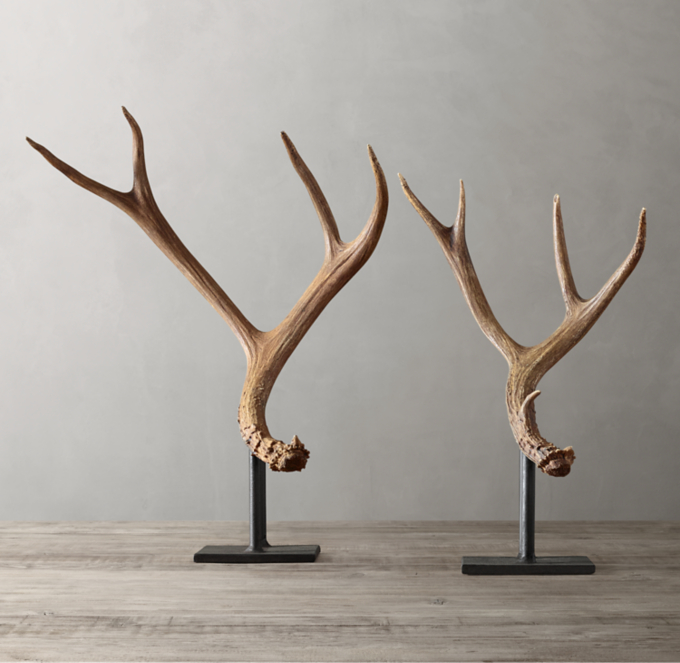 Natural Deer Antler On Stand