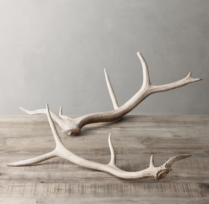 Natural Elk Antler