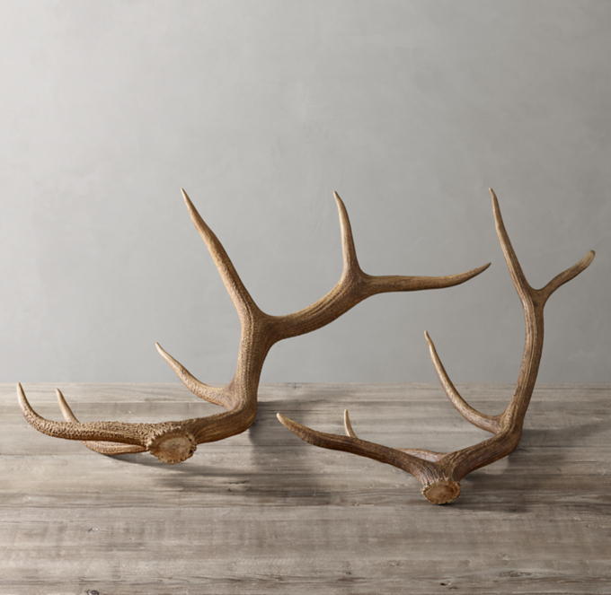 Natural Elk Antler