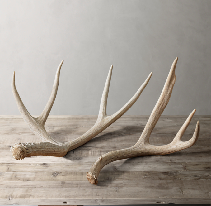 Natural Deer Antler