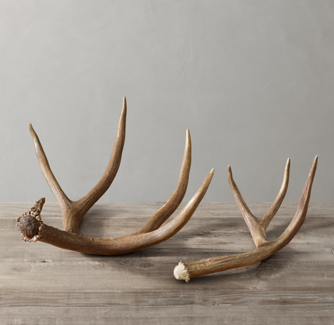 Natural Deer Antler