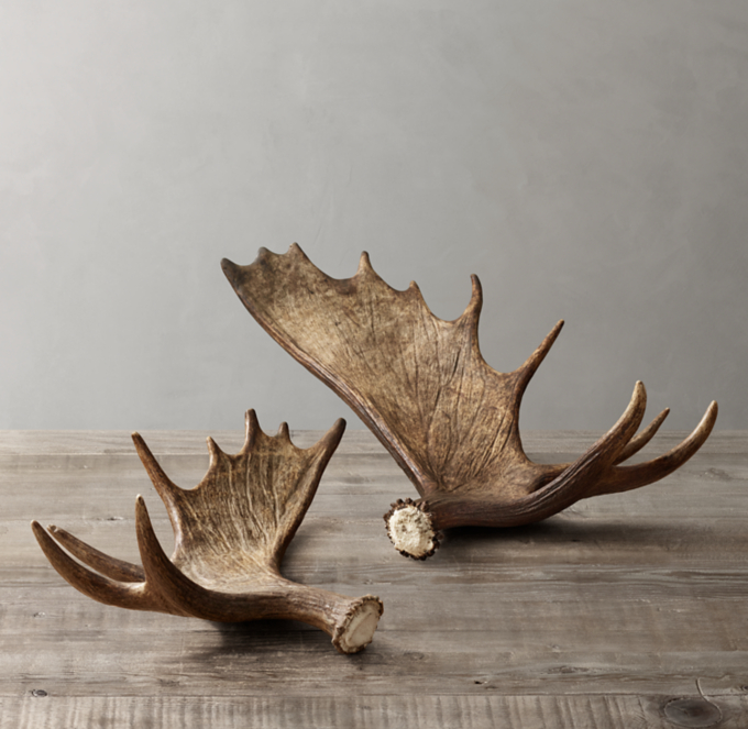 Natural Moose Antler