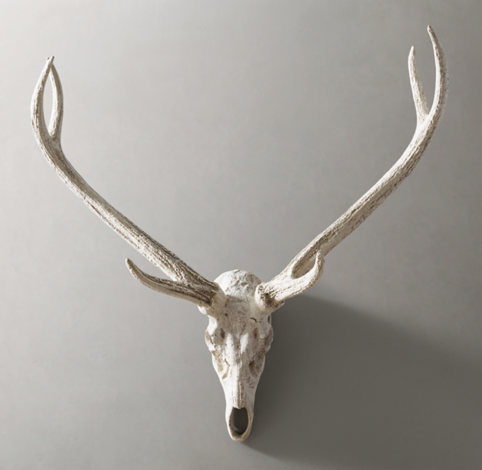 deer skull