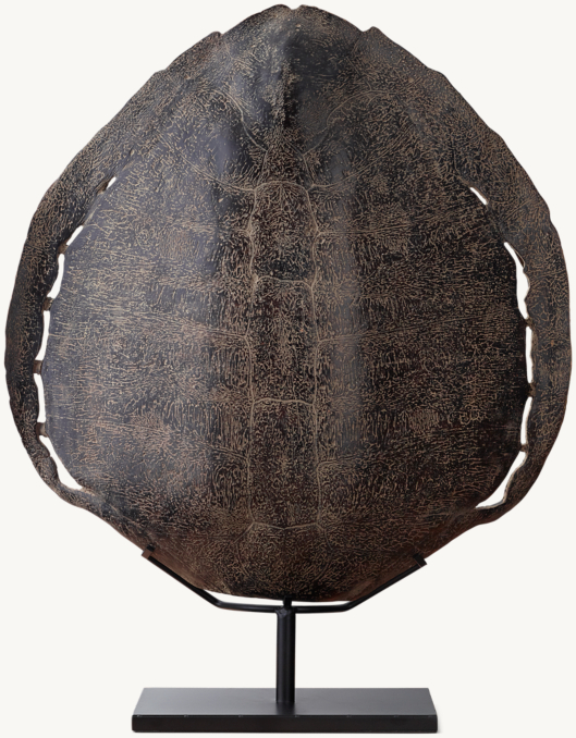 Faux Giant Softshell Turtle Shell - Large | RH