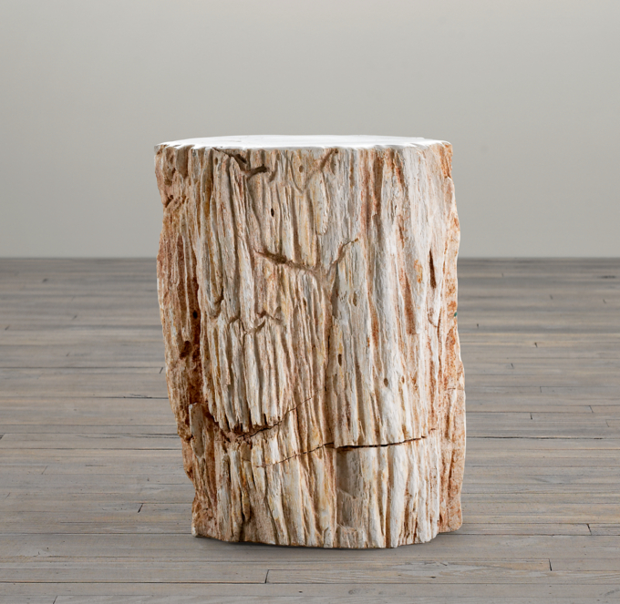Petrified Wood Stump Mixed Side Table