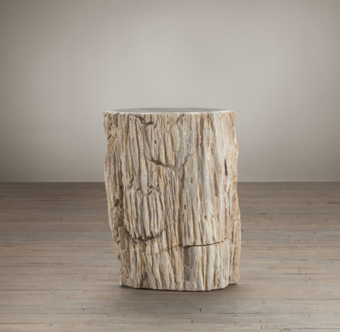 Petrified Wood Stump Table