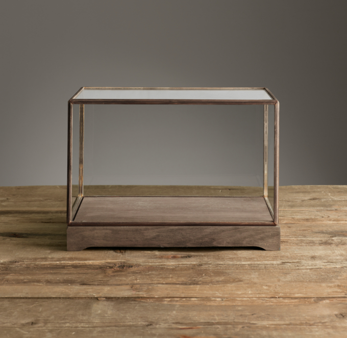 Specimen Display Case Rectangle