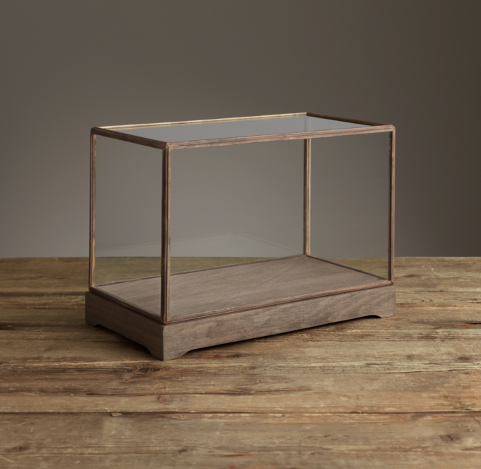 Specimen Display Case Rectangle