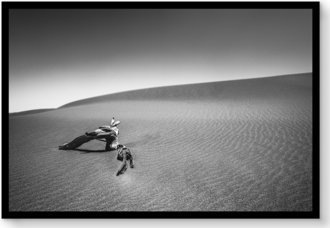 Front view of Strati Hovartos: Mesquite Dunes For General Public 