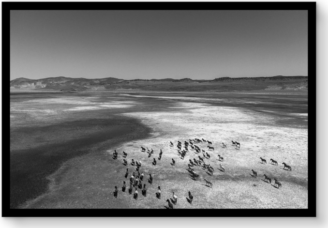 Front view of Strati Hovartos: Wild Horses Iii For General Public 