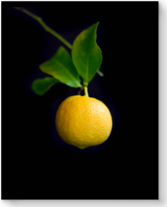 Front view of Lisa Romerein: Meyer Lemon For General Public 