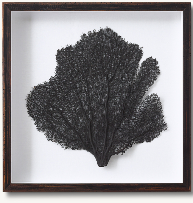 Hand-Tinted Sea Fan
