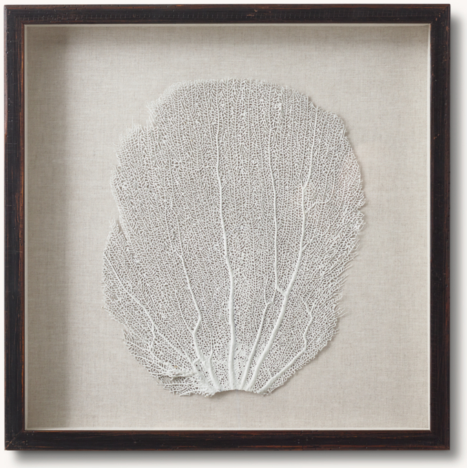 Hand-Tinted Sea Fan
