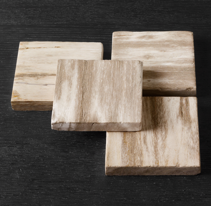 Petrified Wood Coasters (Set of 4)