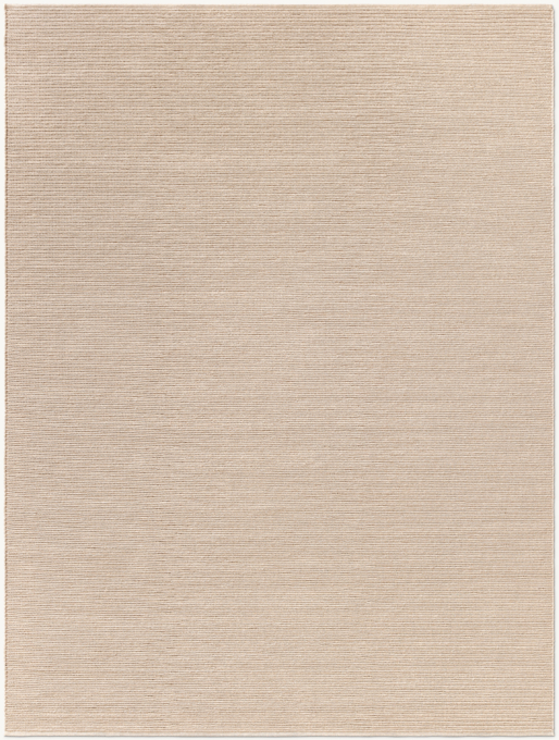 Braided Loop Outdoor Rug