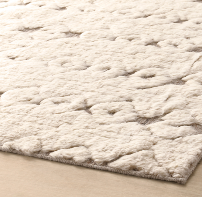 Anusha Wool Rug