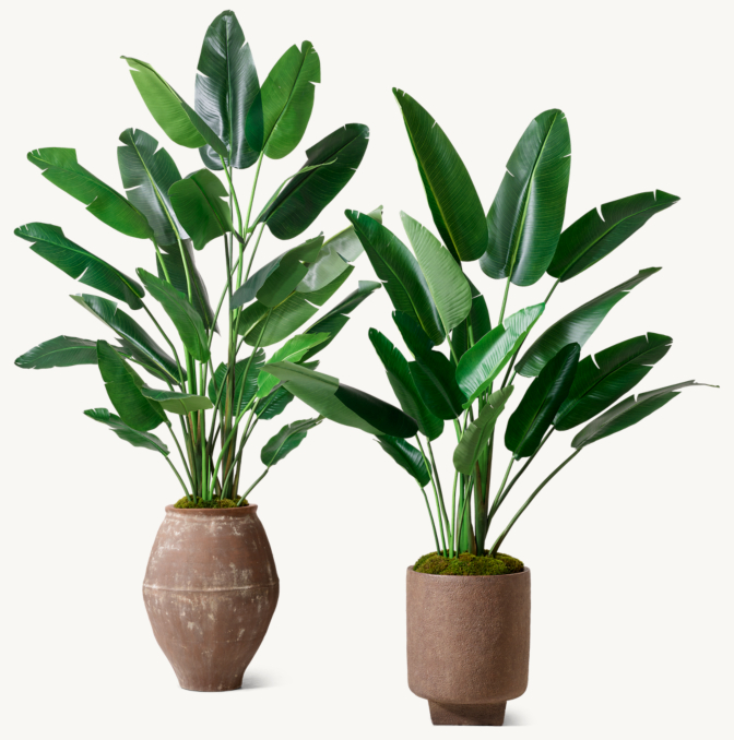 Faux Birds of Paradise Tree | RH