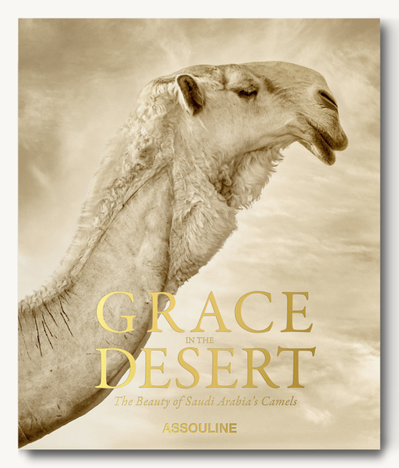 GRACE IN THE DESERT: THE BEAUTY OF SAUDI ARABIA'S CAMELS
