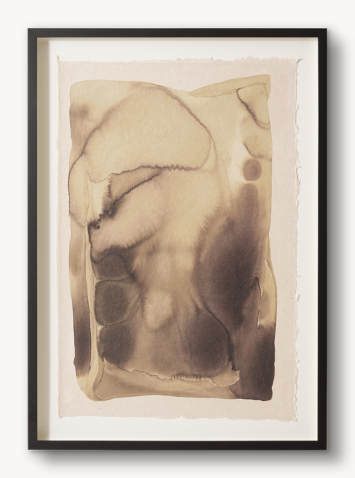 Alexandra Rose: Tide Pools for General Public